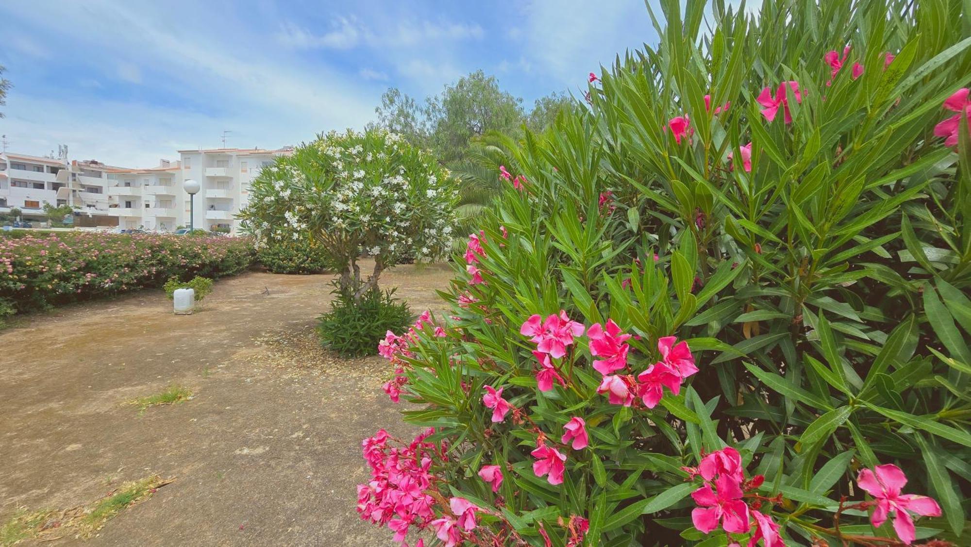 Praia Eulalia With Pool And 5 Minutes From The Beach Albufeira Exterior photo
