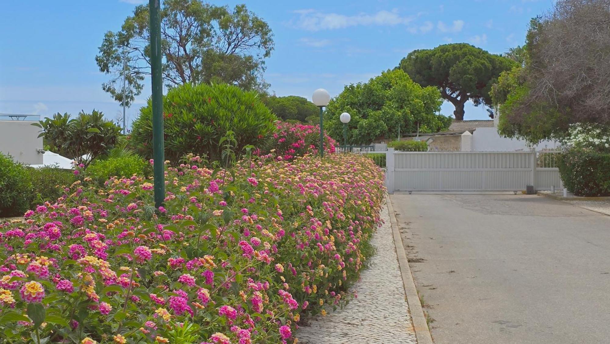 Praia Eulalia With Pool And 5 Minutes From The Beach Albufeira Exterior photo